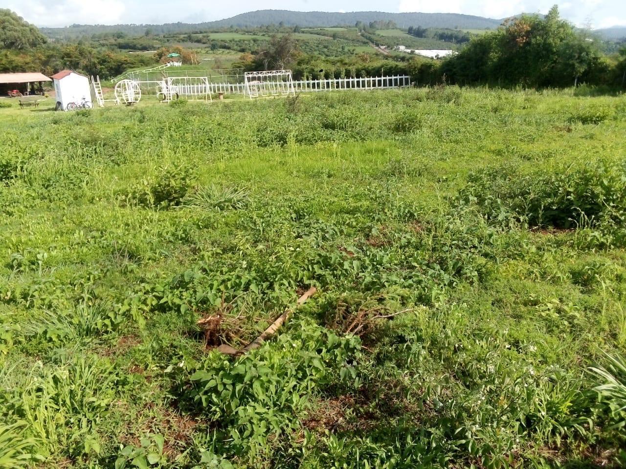 Hectarea con Cabaña en Venta en Las Cañas