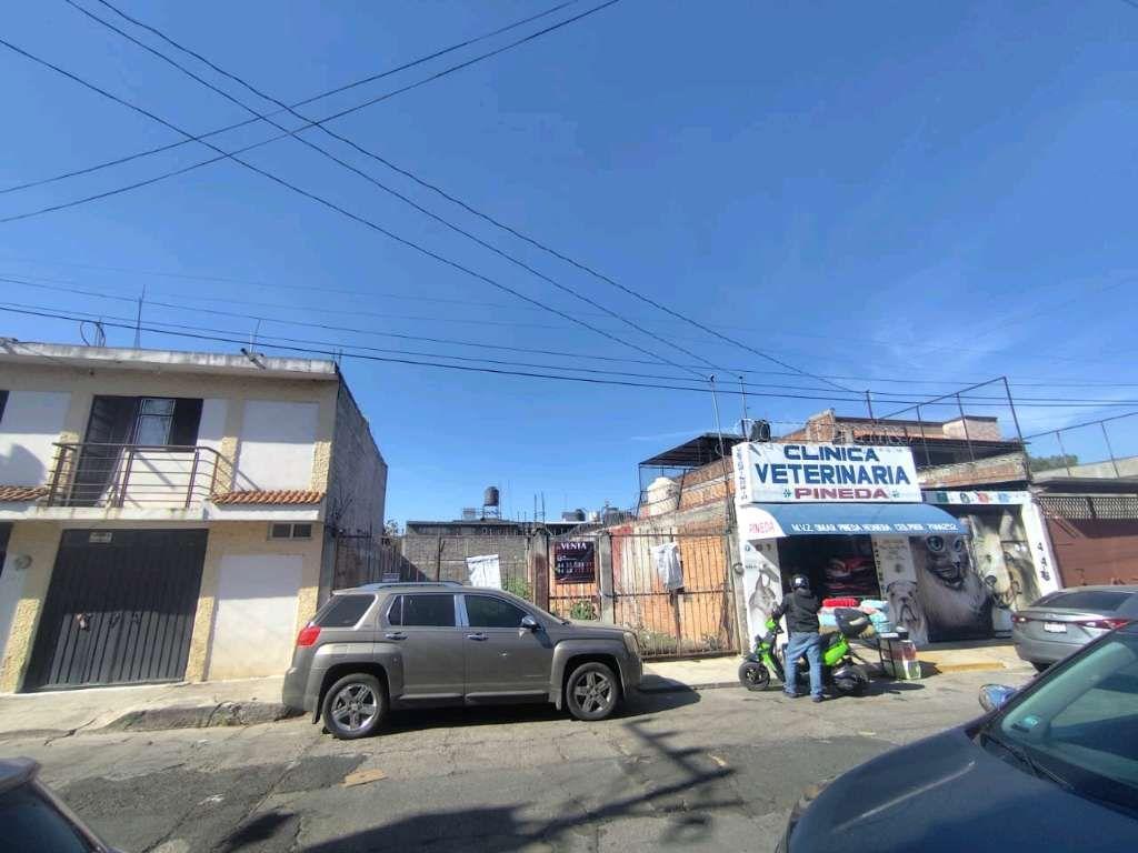 Foto de la galeria de imagenes