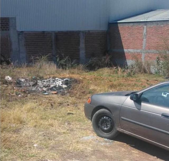 Foto de la galeria de imagenes
