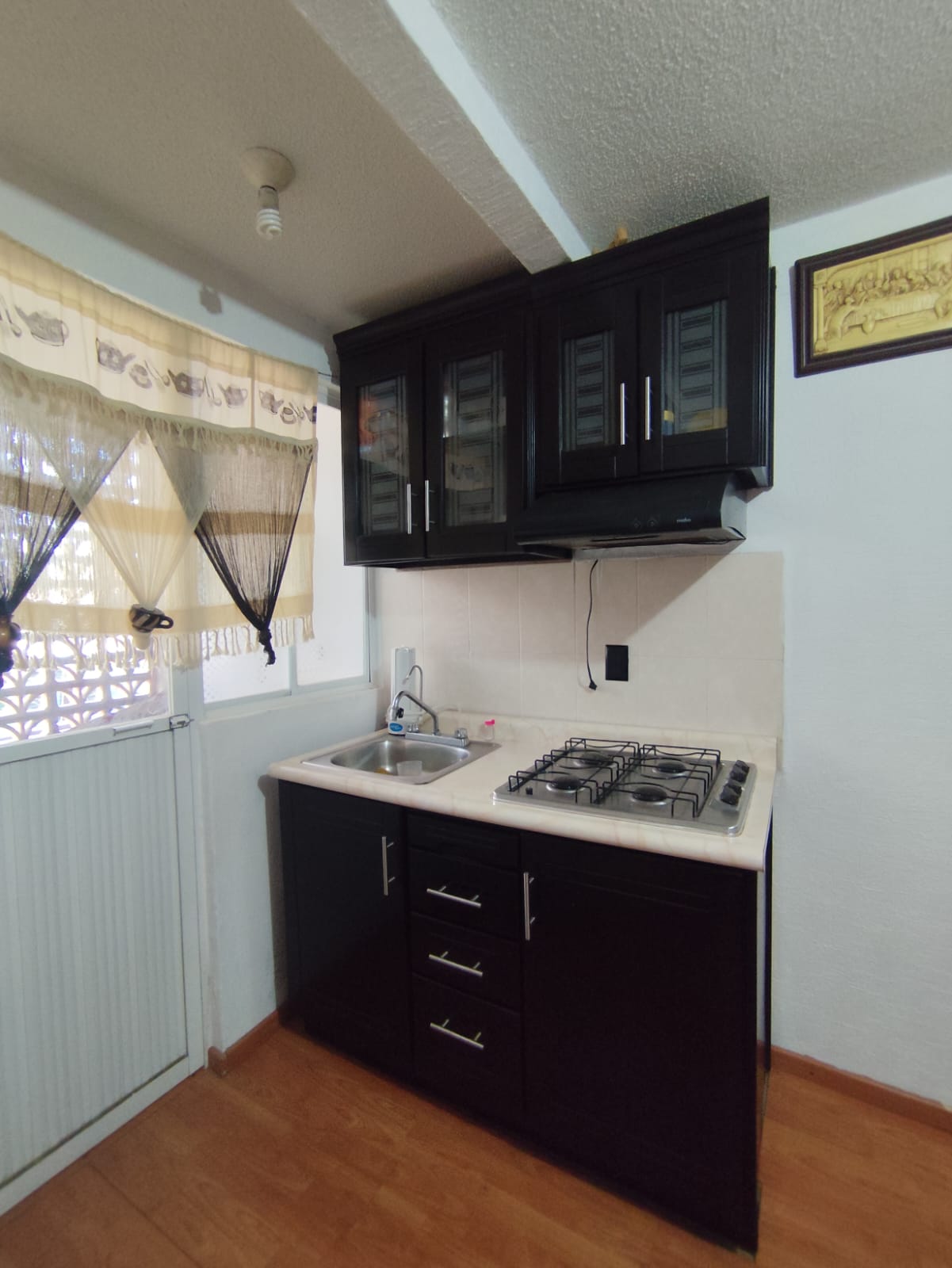 Departamento en venta en campestre Monarca, Las Espigas