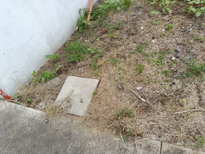 Terreno en Venta en Fracc. Bosques (Tres Marias)