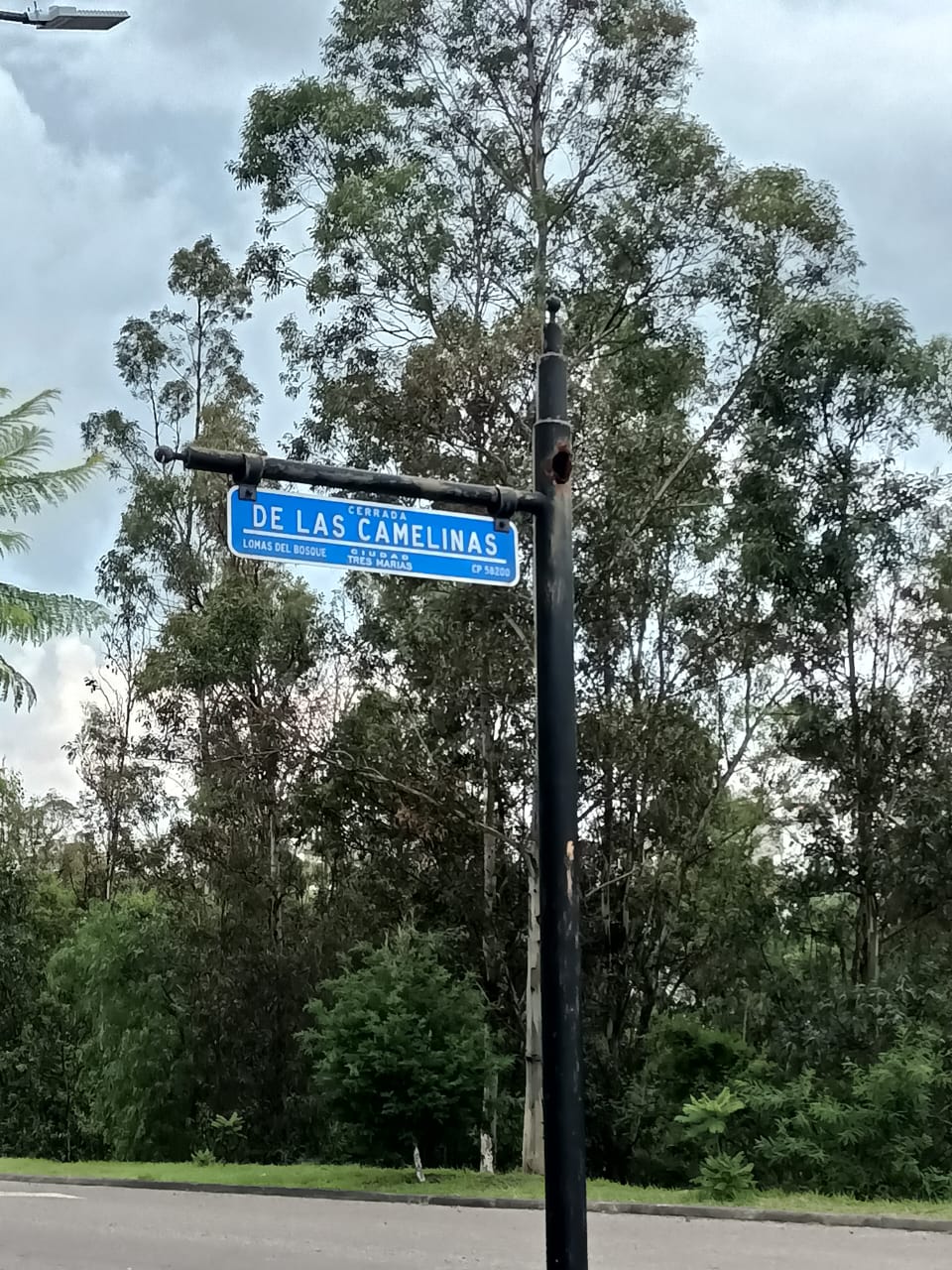 Terreno en Venta en Fracc. Bosques (Tres Marias)
