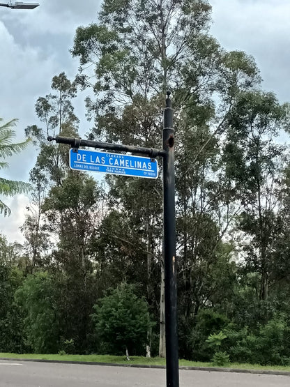 Terreno en Venta en Fracc. Bosques (Tres Marias)