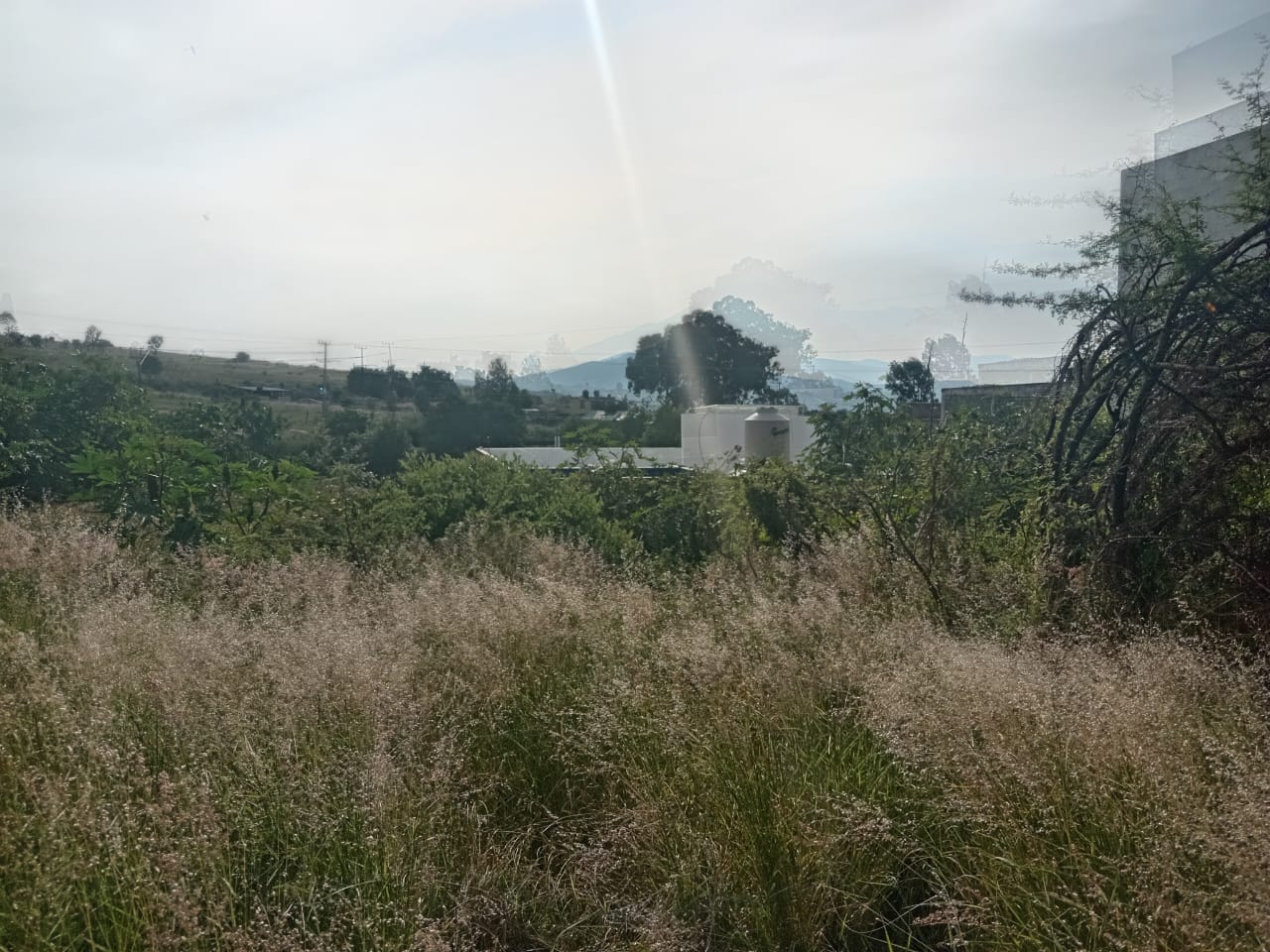 Terreno en Venta en Lomas del Sur