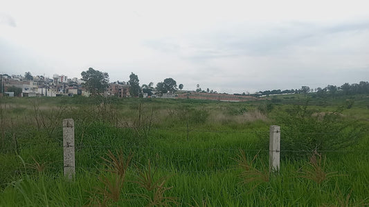 Terreno en Renta sobre Av. Erandeni