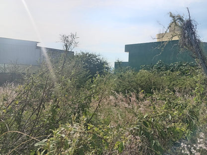 Terreno en Venta en Lomas del Sur