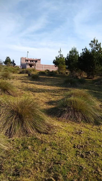 Terrenos en Venta en Umecuaro